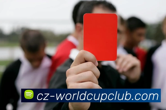 世界杯官方线上APP 封面图